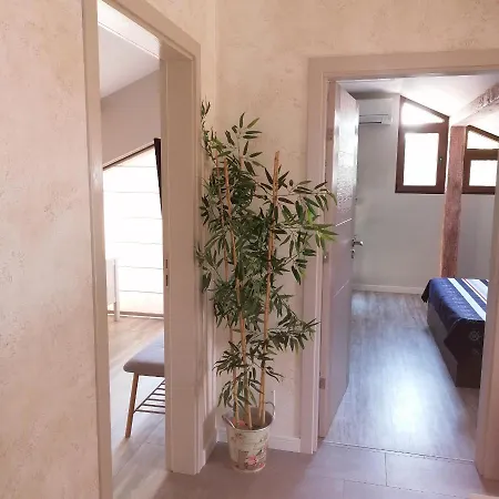 Apartamento Dona *