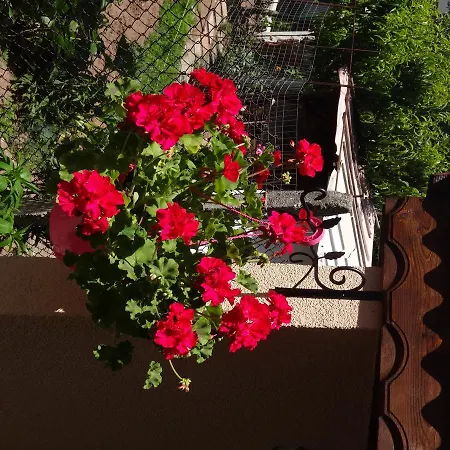 Apartamento Dona Chernomorets