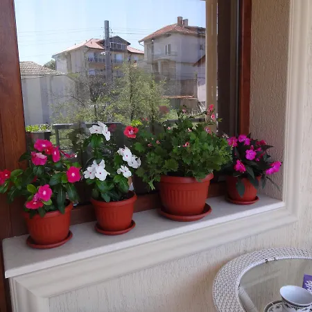 Apartamento Dona *