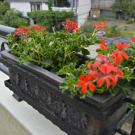 Dona Apartamento Chernomorets