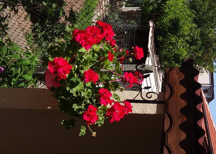 Apartment Dona Chernomorets