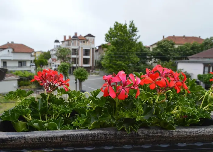 Dona Apartment Chernomorets