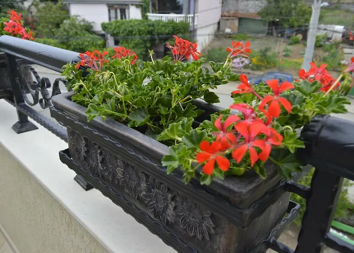 Dona Apartment Chernomorets