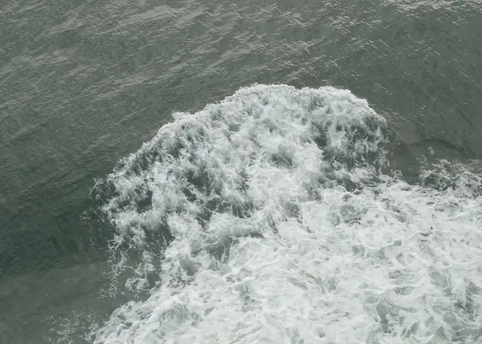 Apartment Dona Chernomorets